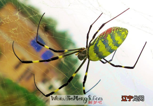 做梦代表什么意思,会发生什么?且看解梦吧