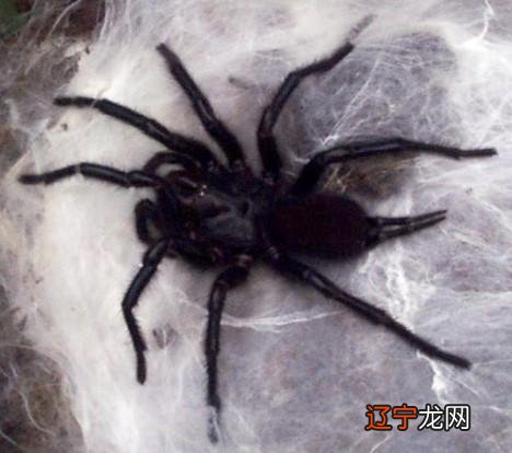 做梦代表什么意思,会发生什么?且看解梦吧