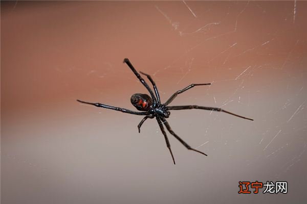 做梦代表什么意思，会发生什么？且看解梦吧