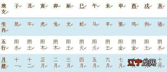 2022年十二生肖号码表十二生肖顺序又称顺序又称属相