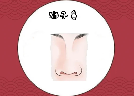 鼻子走几岁运势:如何从鼻子看出你的财运如何?