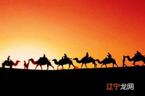 《文化苦旅》：10句话还历史以真相！