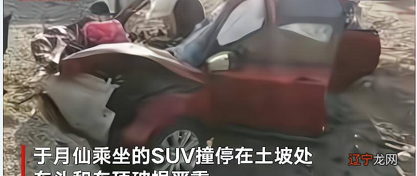 身上香水味看外遇_从身上痣看运势祸福全集_李丽珍电影全集看 全集