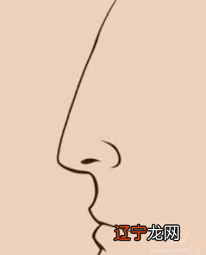 看男人鼻子盯30秒出现_整鼻子会改变运势吗_男人鼻子看运势
