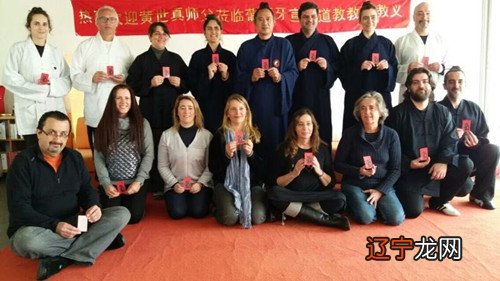 八字花根生在树尾_口袋妖怪树枕尾熊怎么抓_树枕尾熊胖丁