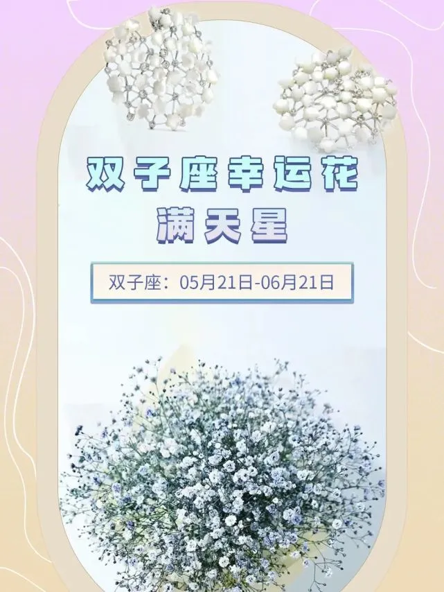 十二星座的幸运花是什么?说了算!