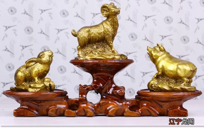 属猪的和什么属相的属相的