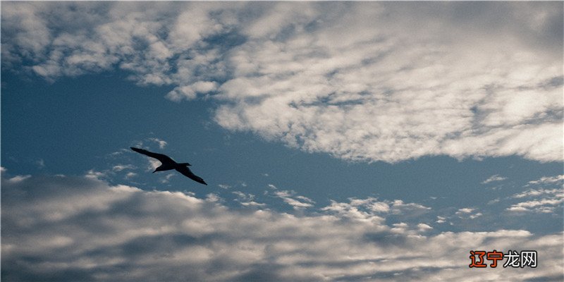 吴文博河北省学说中医院