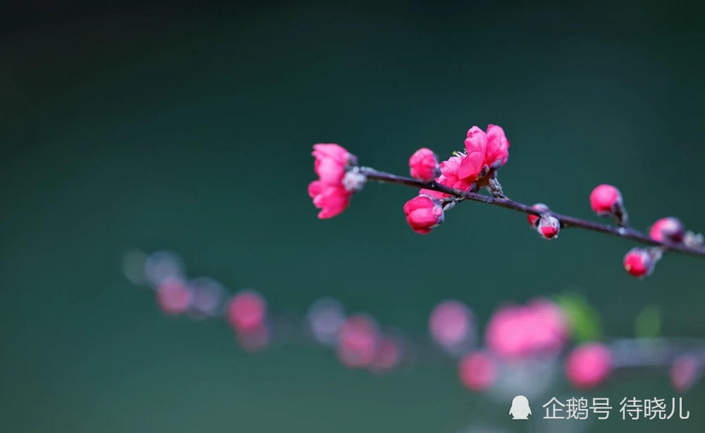 出生年月日合婚_1988年8月11和1989年8月22合婚_2006年6月7月19号出生