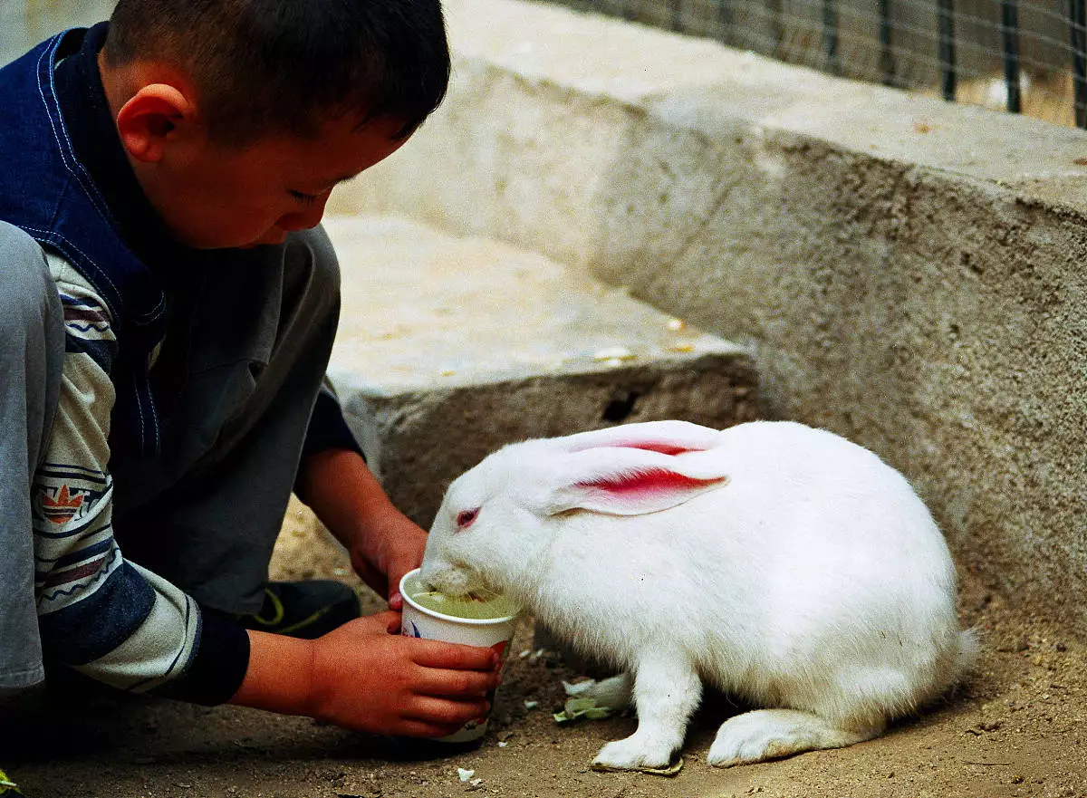 1927年属什么生肖？今年几岁？是什么命？