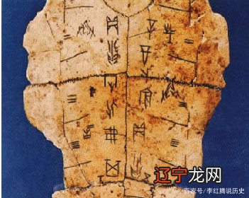 塔罗牌占卜黑塔塔罗占卜馆_龟甲占卜_醋龟甲和龟甲