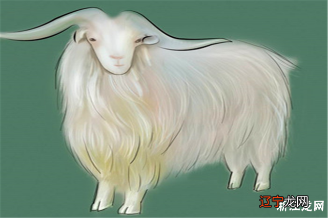 属羊的男女属相婚配表，你知道这是怎么回事？