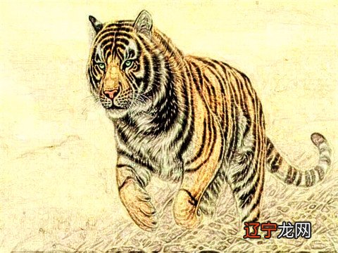 组图 个人运势免费测试2022牛人2022年运势及运程