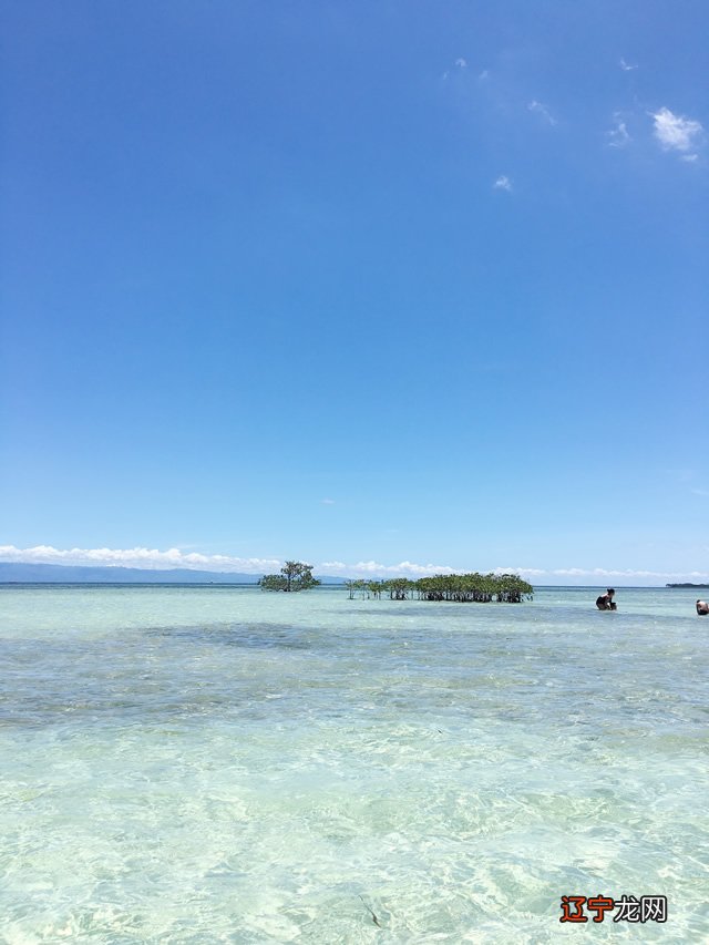 组图 个人运势免费测试2022牛人2022年运势及运程