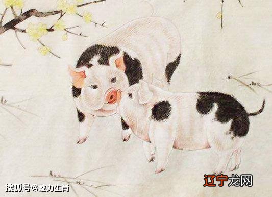 十二生肖怎么分五行12生肖顺序排列与十二生肖有什么关系?