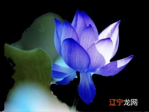 《西游记》创造了神话世界,人名的意义是什么?