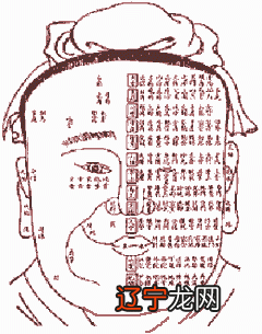 张金华云：易经通解的介绍《易经》人的命运