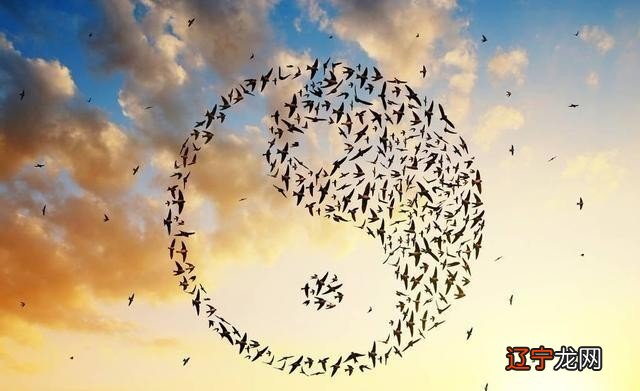 张金华云：易经通解的介绍《易经》人的命运