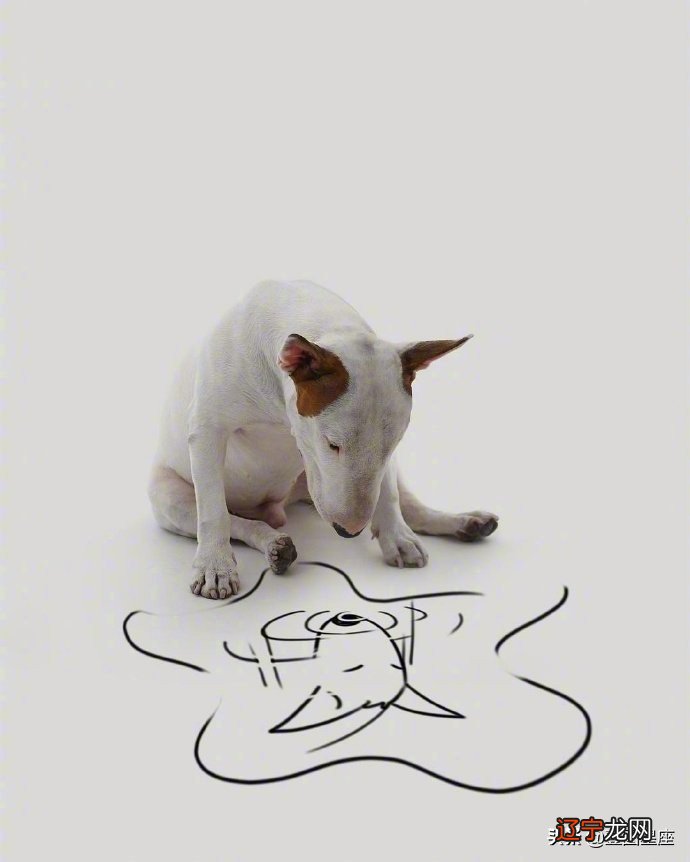 以处女座和射手座的配对,为例的作用往往只能退而求其次