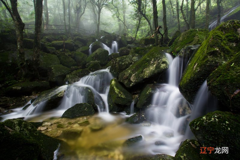 这个生肖的人,一生飘泊不定,有望成为“”