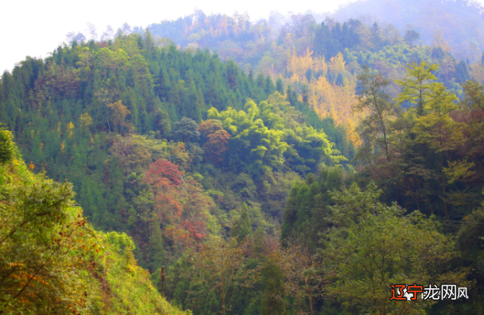 风水堂:冲击不会的寒门学子!