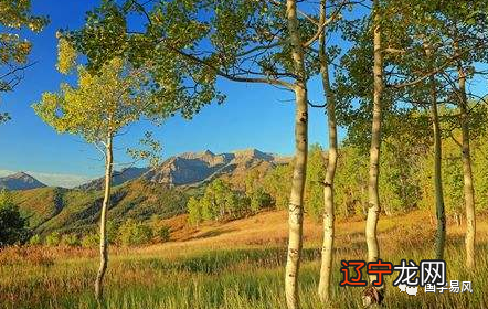 风水堂:冲击不会的寒门学子!