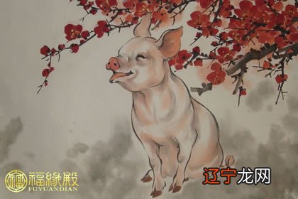 十二生肖猪五行性格解析,你是什么样的人吗?