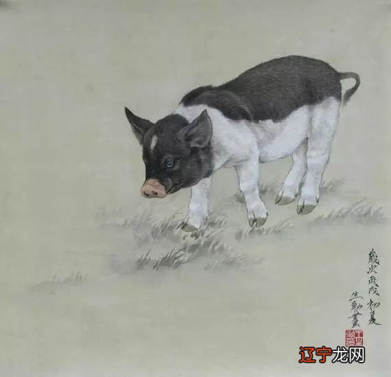 十二生肖猪五行性格解析，你是什么样的人吗？