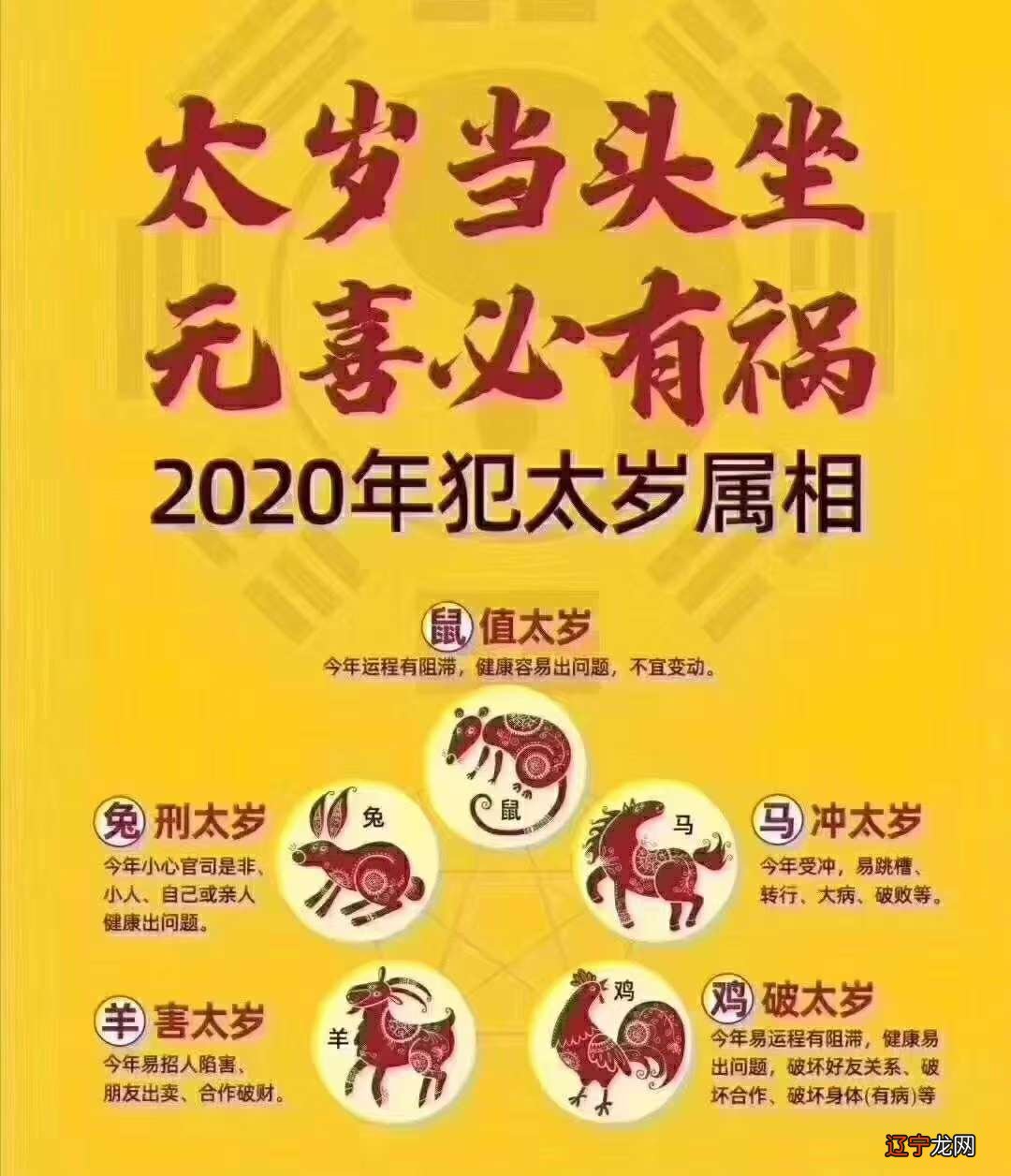 属狗的今年运势如何_今年运势查询运势2018_2018生肖属龙今年运势如何