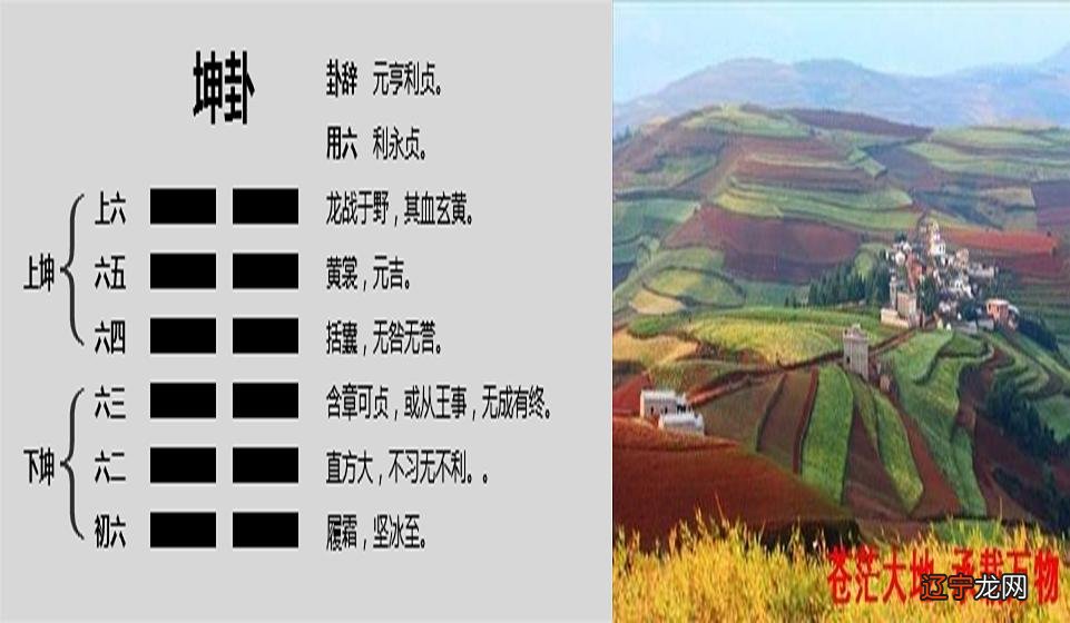 周易算命网六爻起_周易六爻算命_周易六爻动