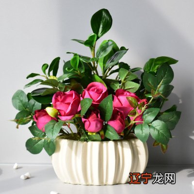 慈世堂:家里放假花的禁忌,你知道吗?