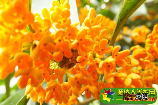 风水堂:什么样的人容易富贵