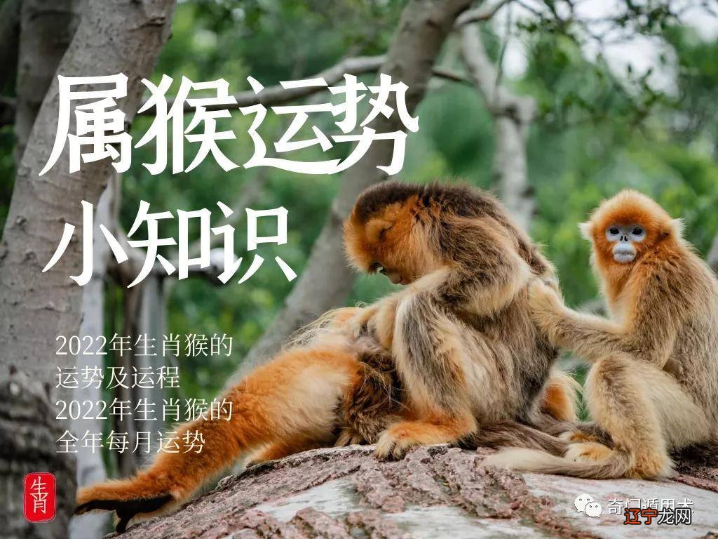 风水堂:什么样的人容易富贵