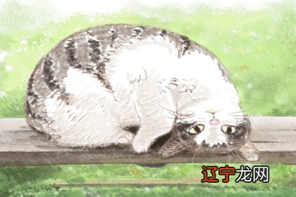 风水堂：风水文化本身就是一种科学