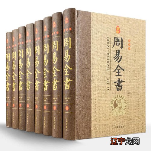 易经中关于八字风水的书八字论命康节神数八字实战秘法公开果老星宗