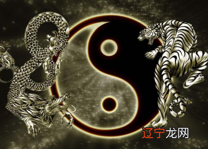 易经中关于八字风水的书八字论命康节神数八字实战秘法公开果老星宗