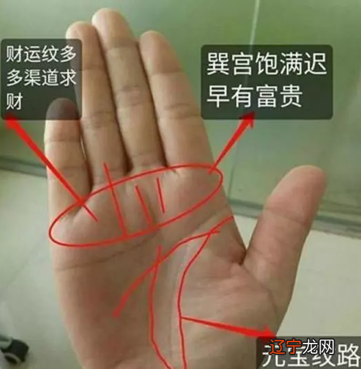 组图 手纹算命一生事业分析事业上的成功线
