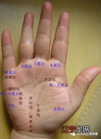 组图 手纹算命一生事业分析事业上的成功线