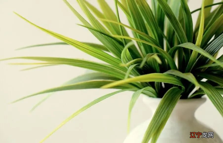 慈世堂：旺事业的办公室风水布局！！!