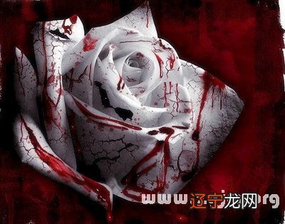 梦见自己大姨死了 新婚之人，五行主水，水主暧昧，则财源旺盛，官运亨通