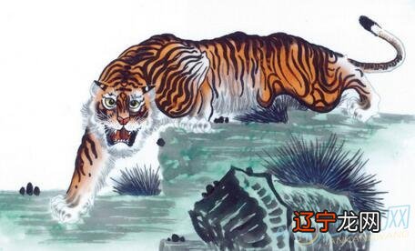 属虎人风水堂:属虎人2022年农历三月运势