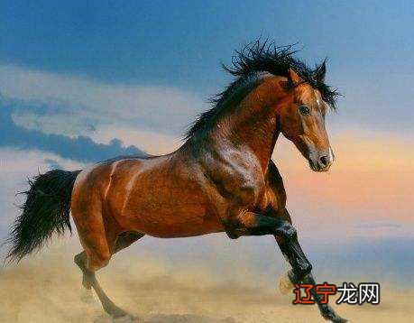 图 1990年出生的人2018年每月运势如何