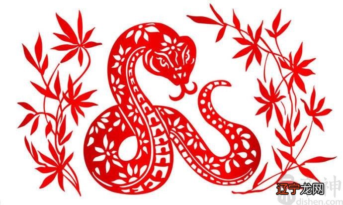 65年出生的属蛇人来说2023年每月运势详解