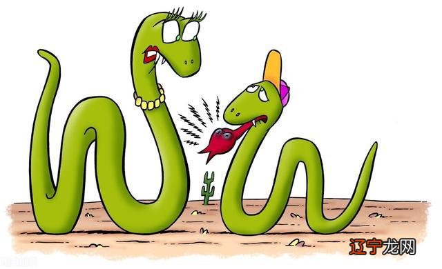 65年出生的属蛇人来说2023年每月运势详解