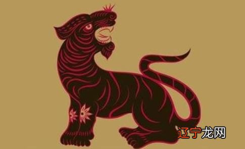 十二生肖姻缘配对姻缘合婚是真还是假？12生肖配对婚姻表虎