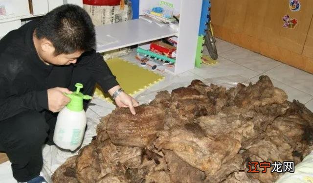 一下风水堂:一下大六应期应期的方法