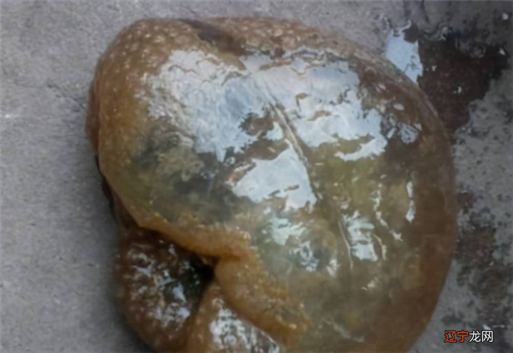 一下风水堂:一下大六应期应期的方法