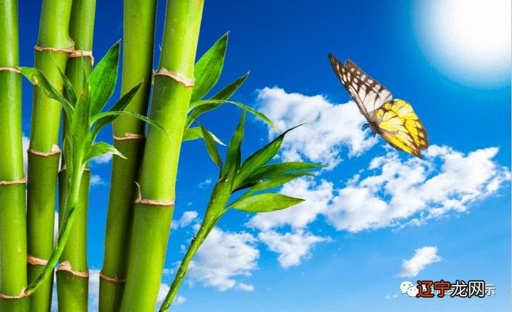 一个人有，福自己求，一个人命运最终还是由自己买单