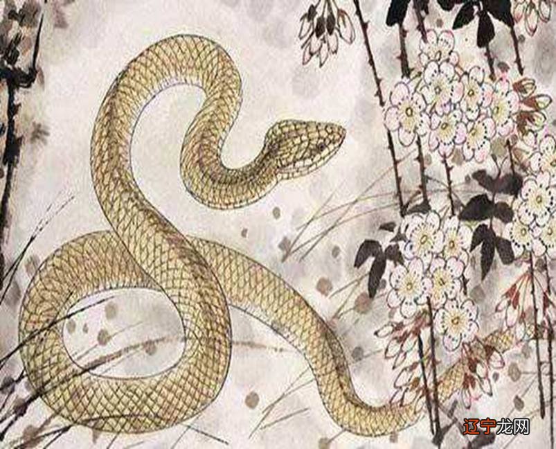 农历六月出生的属蛇人命运好吗学搭配运势