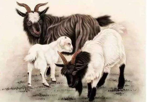 【李向东】1991年五行属什么？五行属金阴历